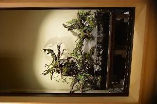Hotel Gion Oyado Kikutani Kioto Ryokan (tradycyjny japoński pensjonat lub zajazd)